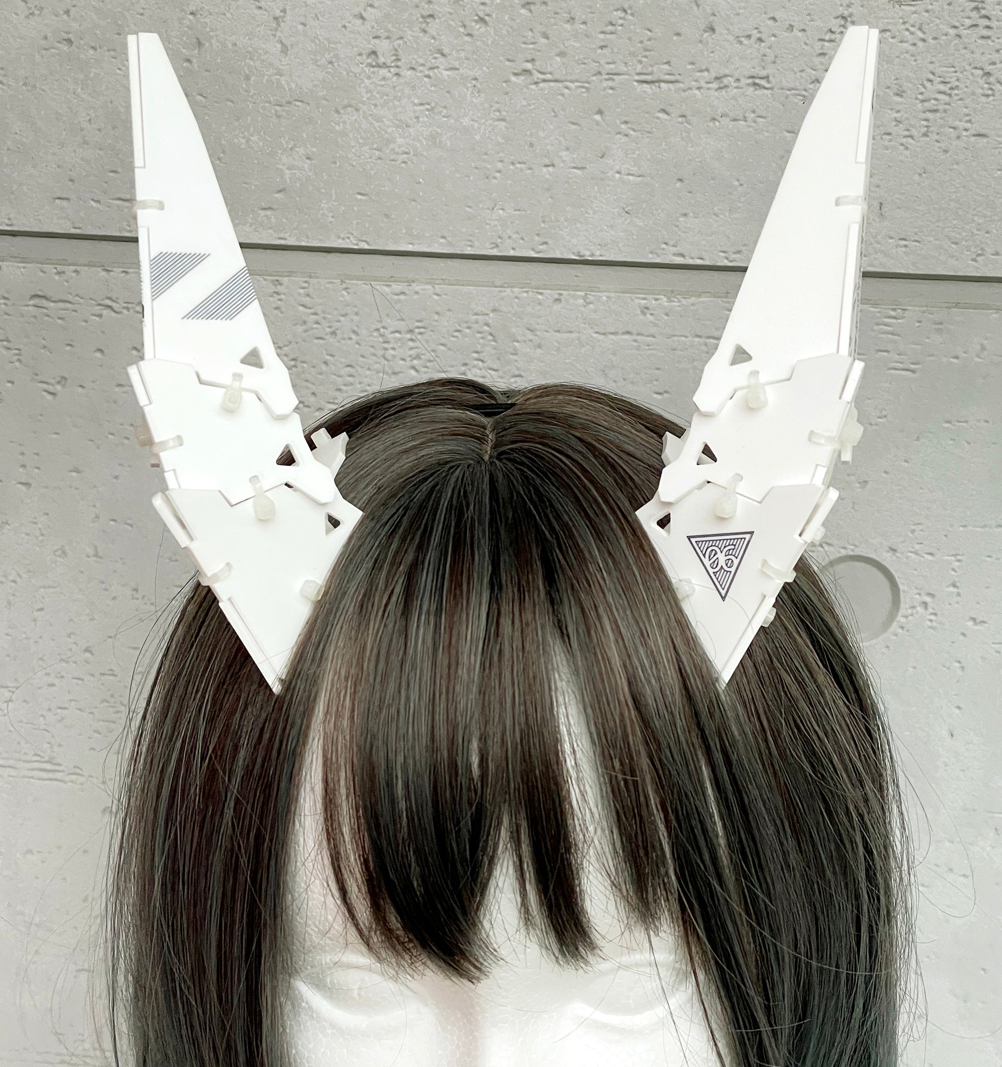 Ram unit_type06
