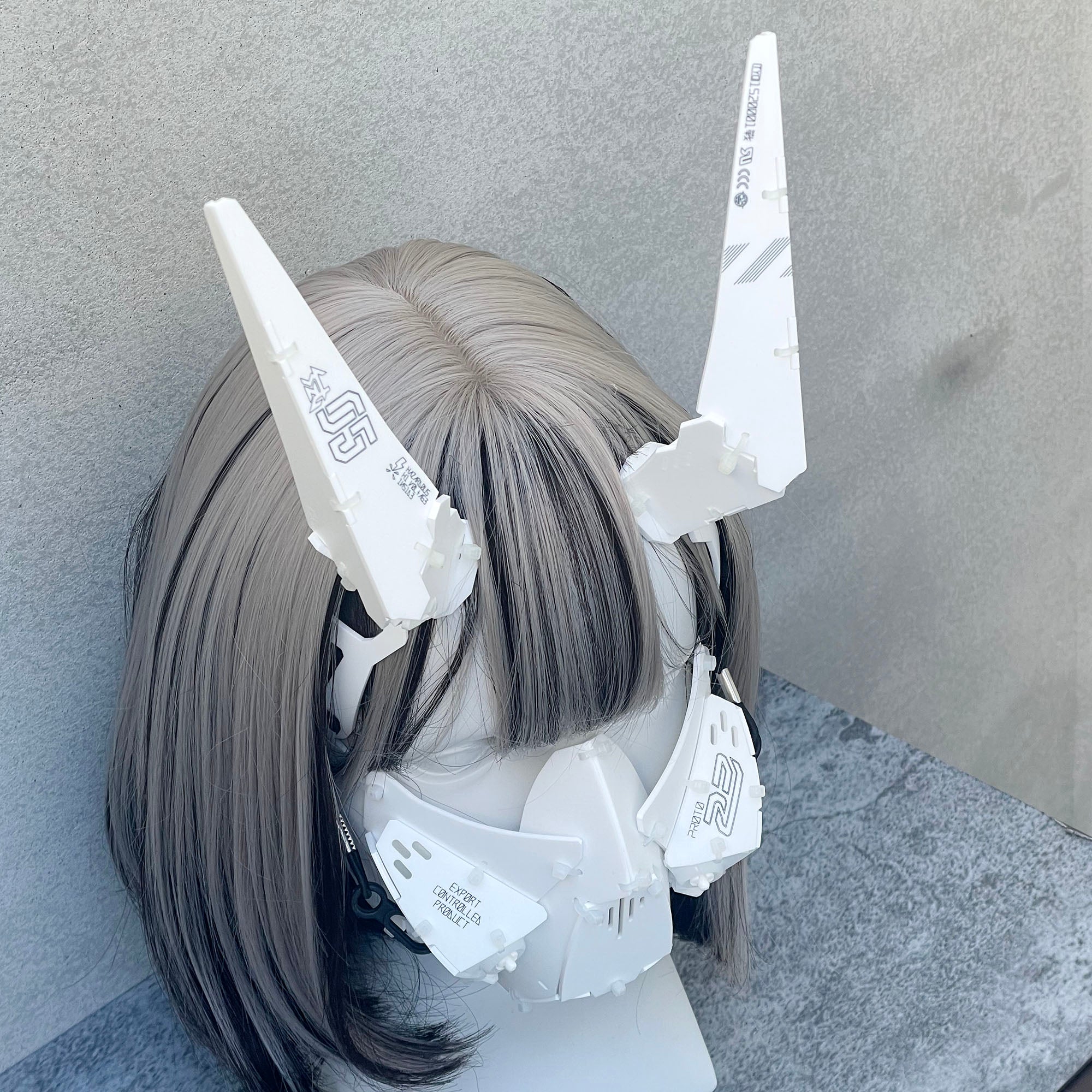 Ram unit_type05