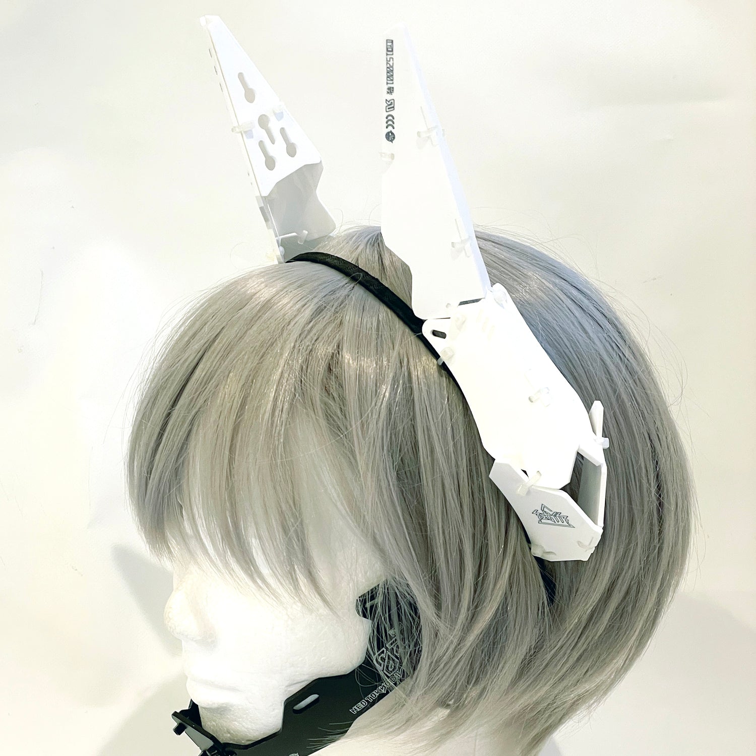 Ram unit_type04