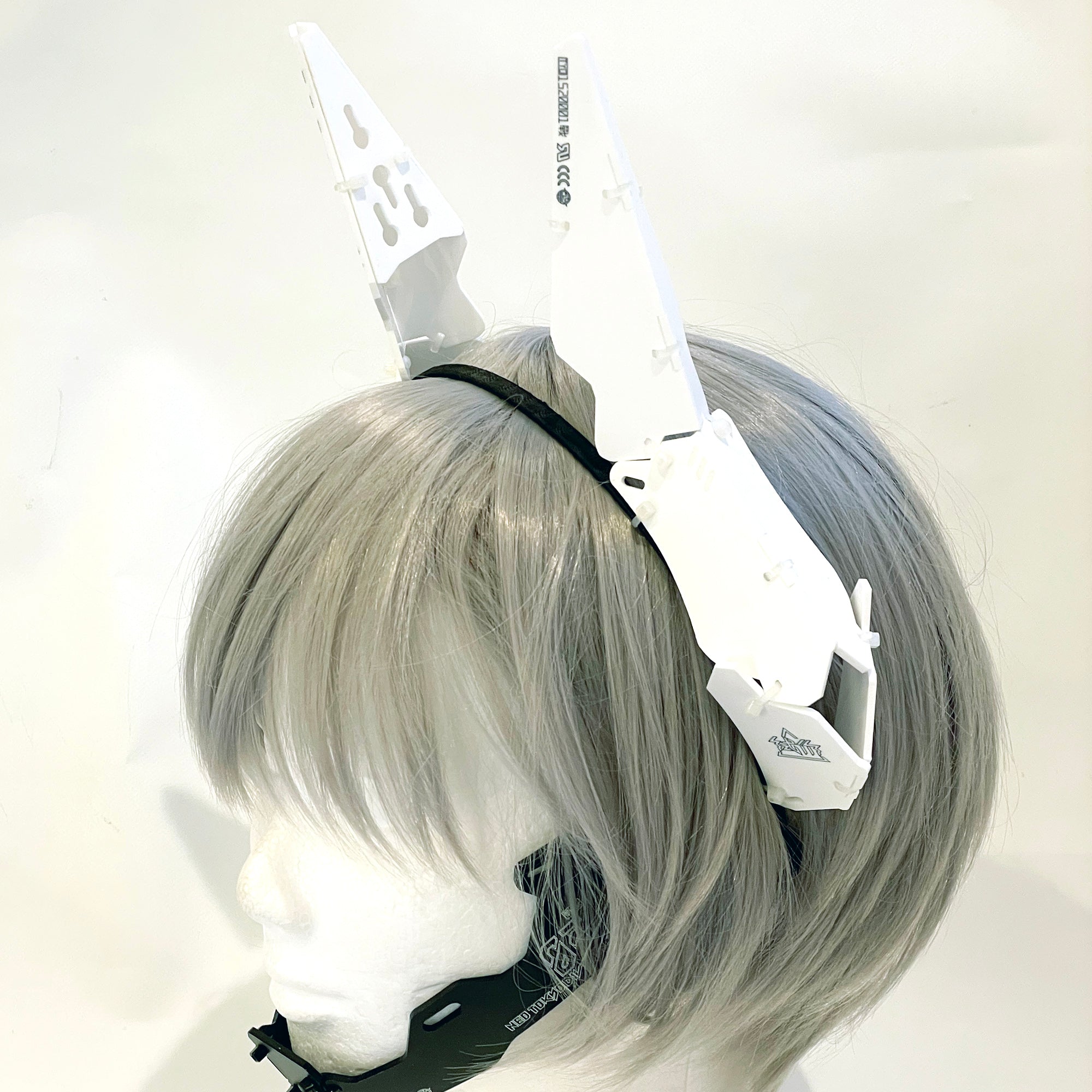 Ram unit_type04
