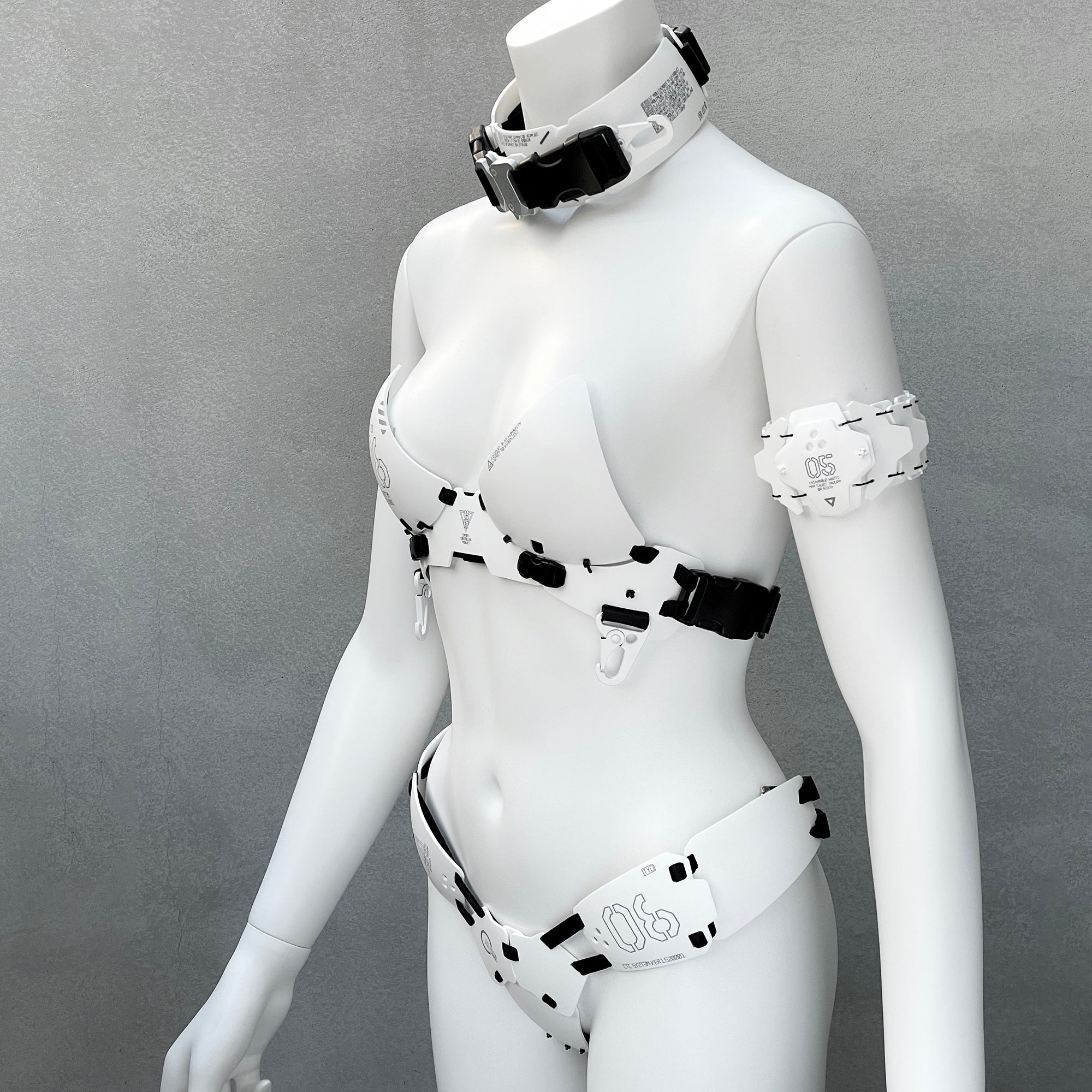 Armored Bikini Unit type06 – 中央町戦術工芸