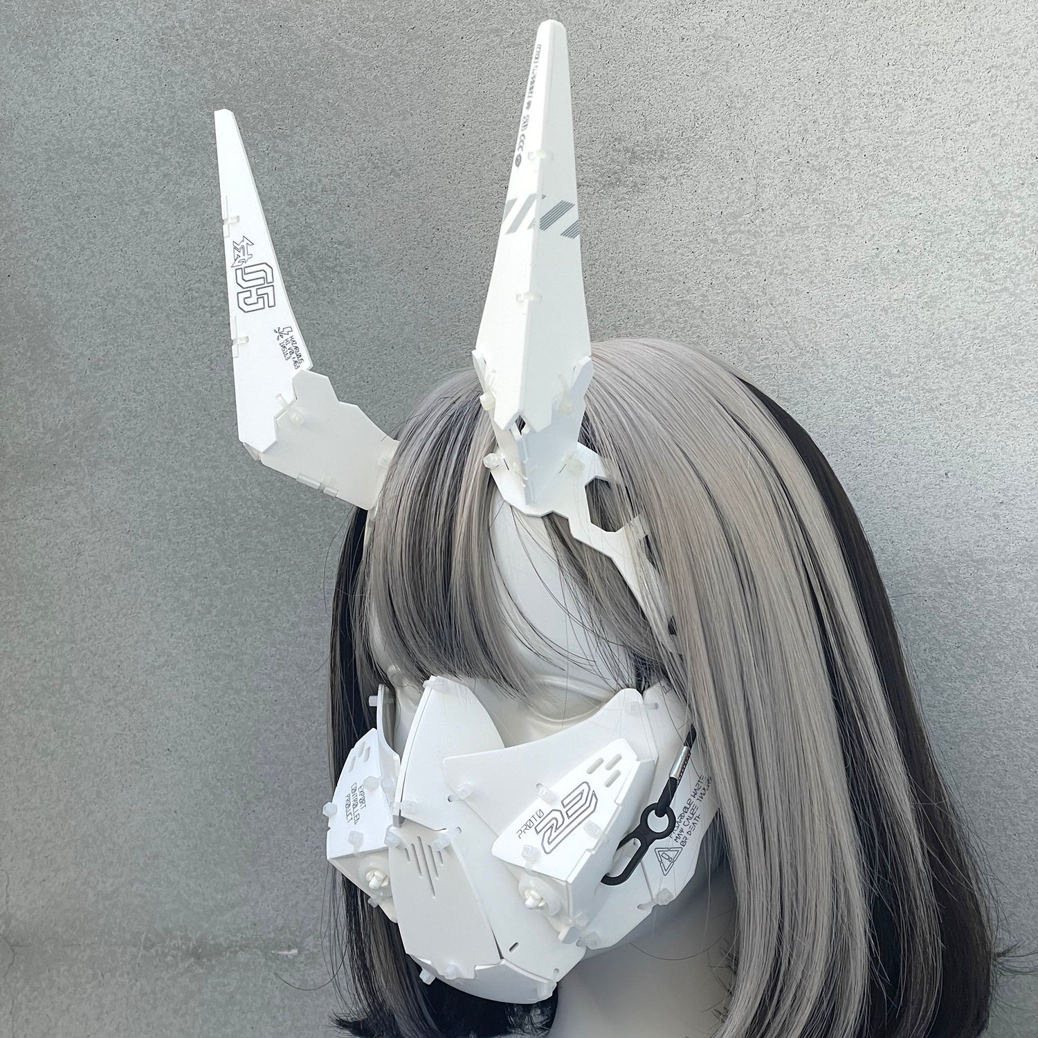 Ram unit_type05