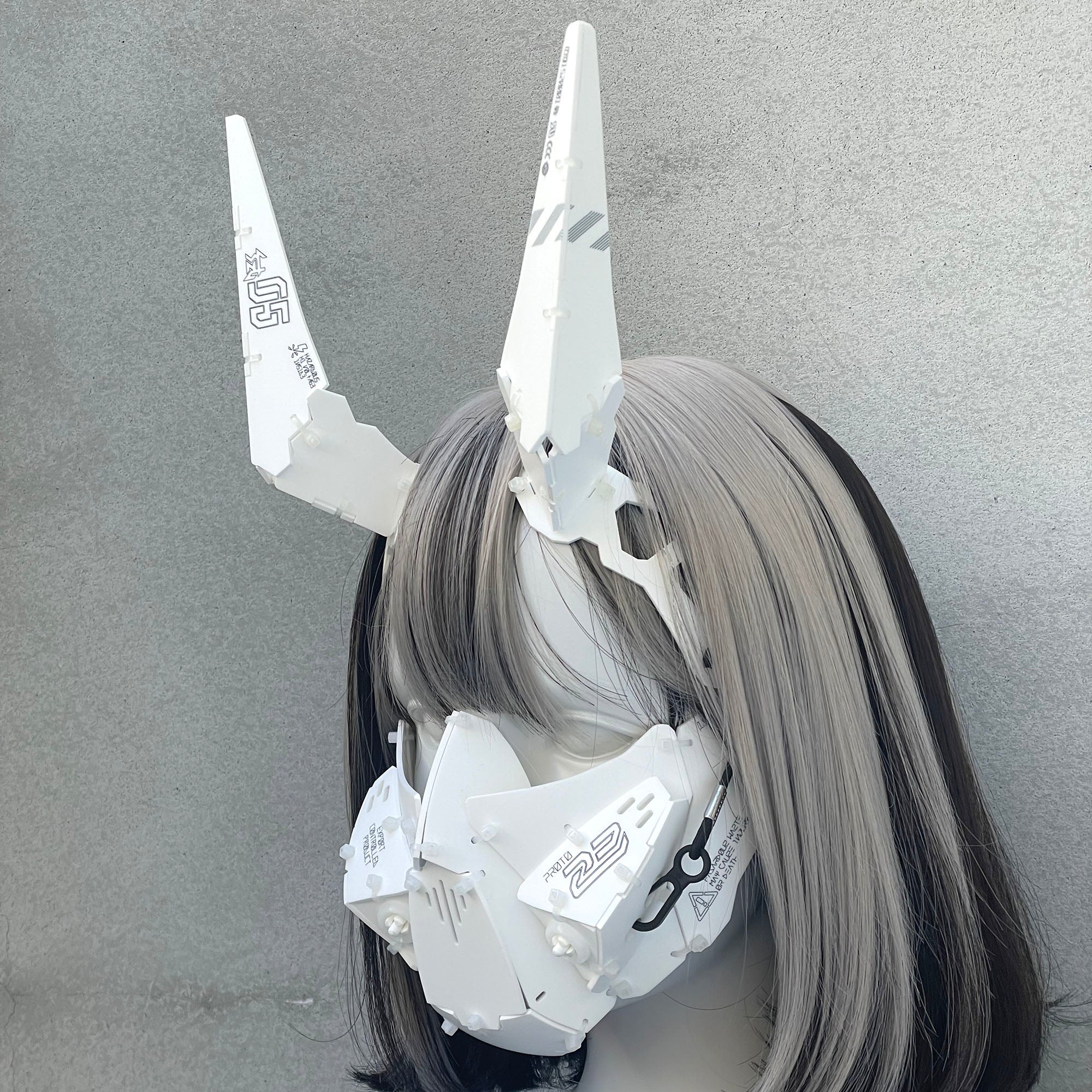Ram unit_type05