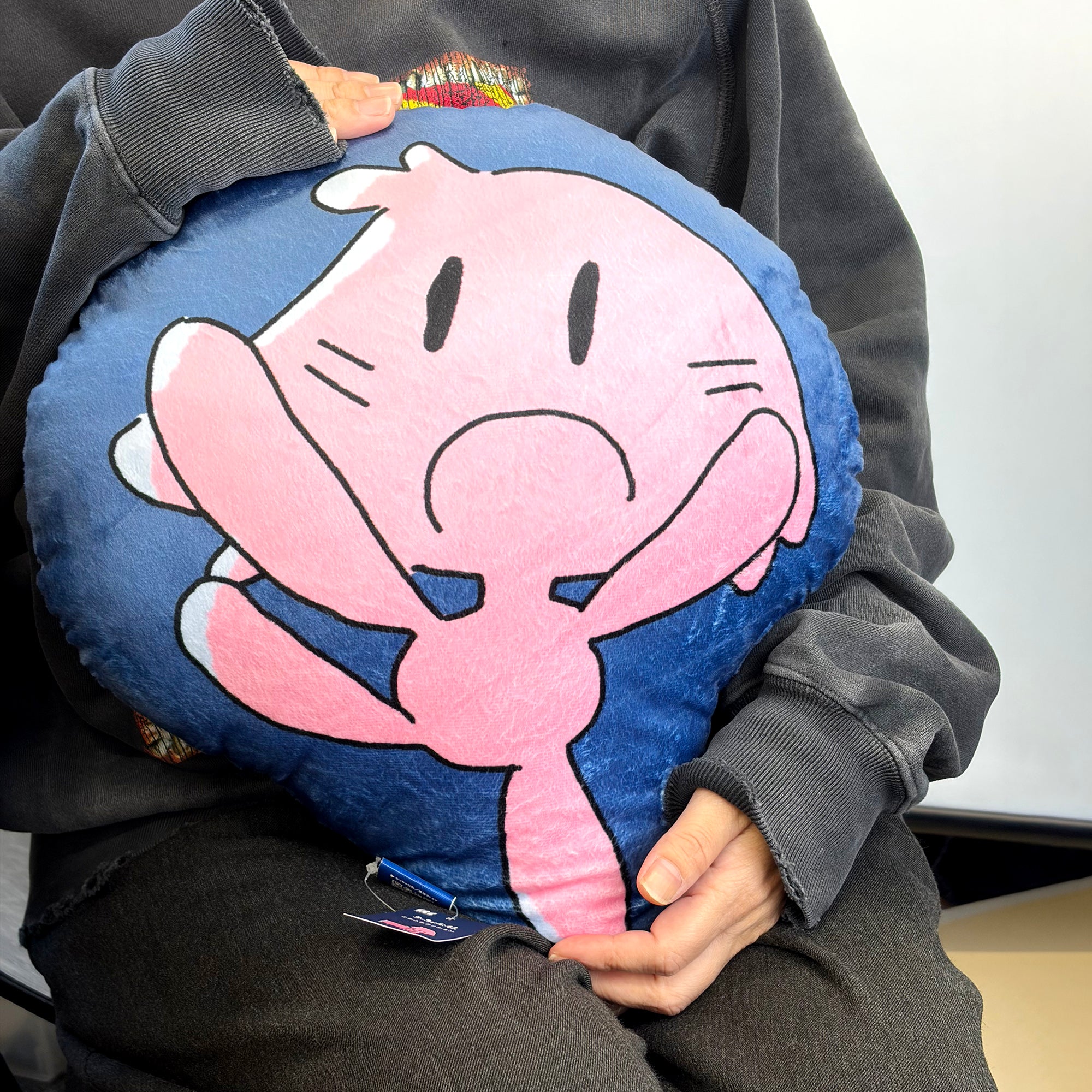 田宮裕涼 しゃけまる ダイカットクッション クッション インテリア ダイカットクッション M THE ENJOY C&D CLUB
