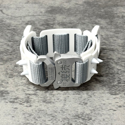 Quick release wristband unit